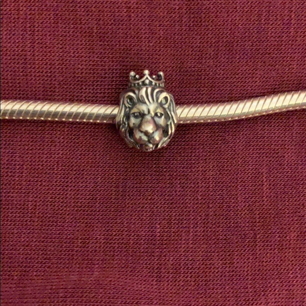 Pandora Charm